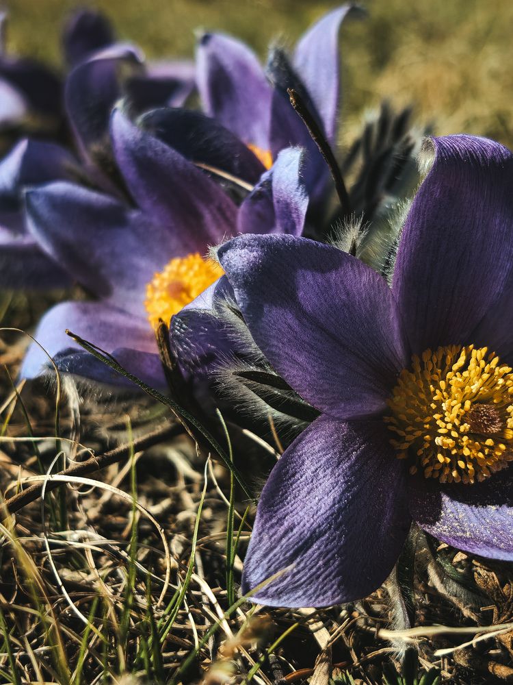 Фотография автора Ольга