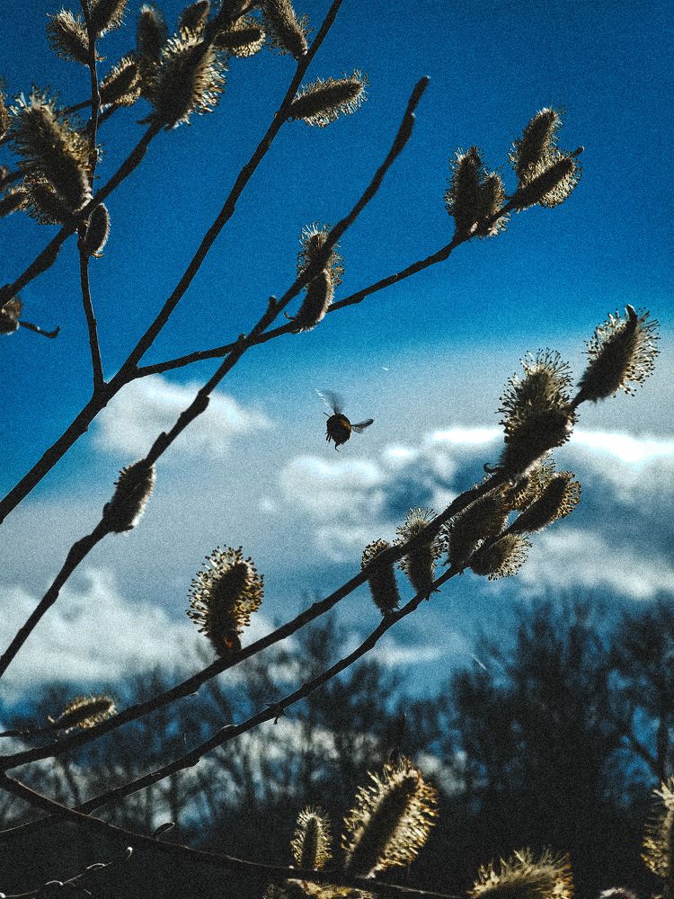 Фотография автора Ольга