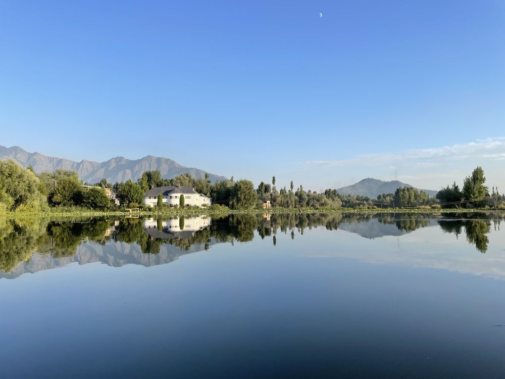 The perfect reflection