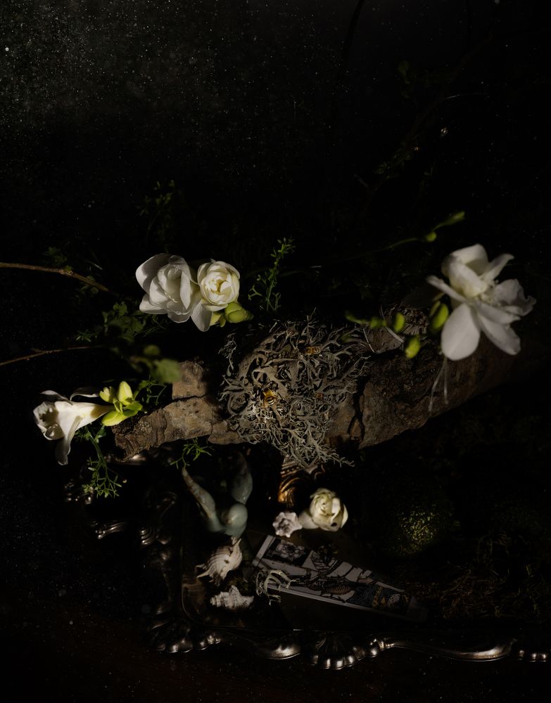 Фотография автора Elina Browerman