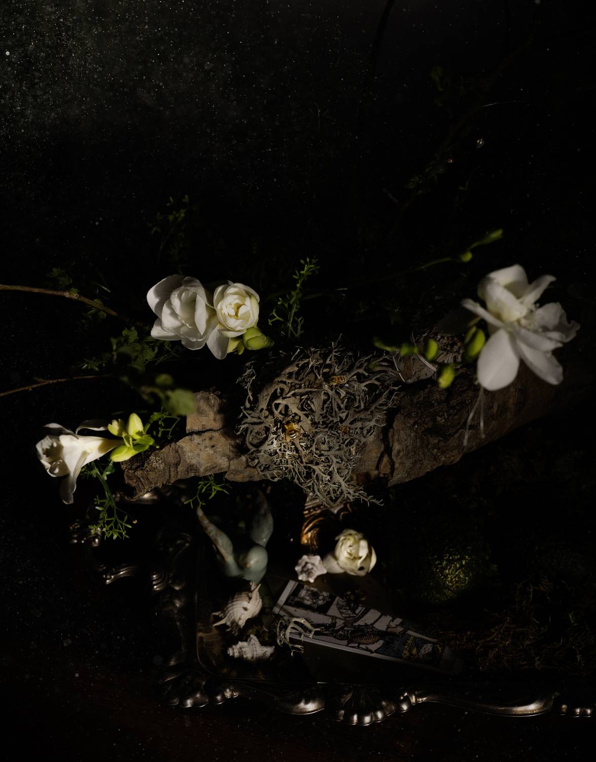 Фотография #10676038