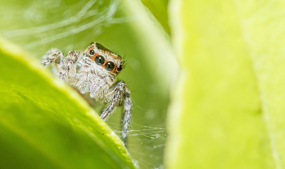 Фотография автора Dipayan Debbarma