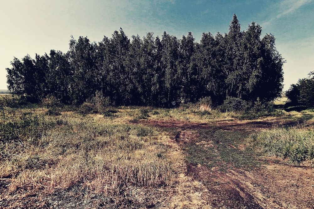 Photograph by Алексей Титков