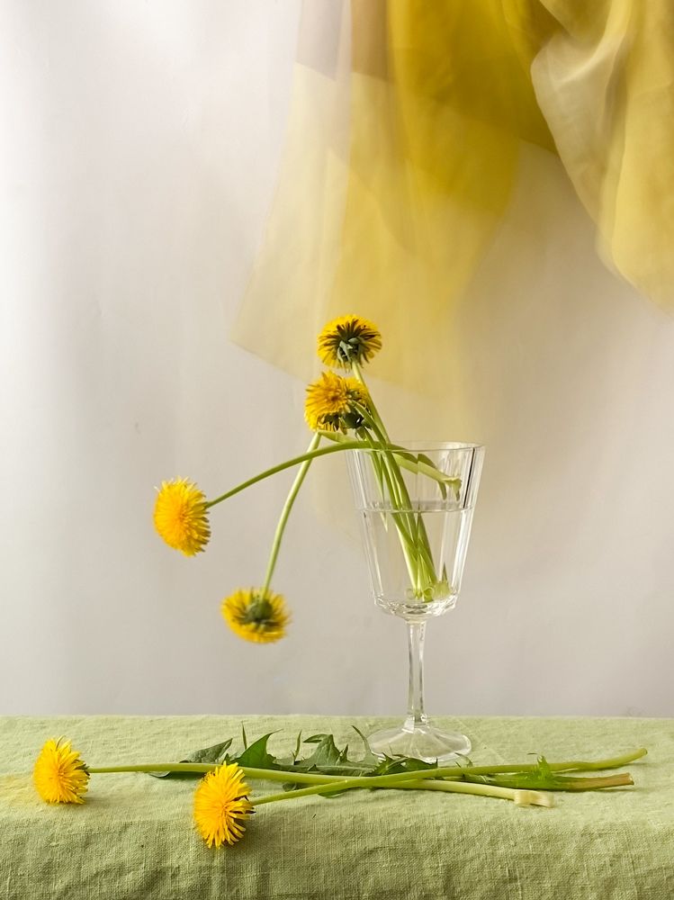 Photograph by Вера Романова