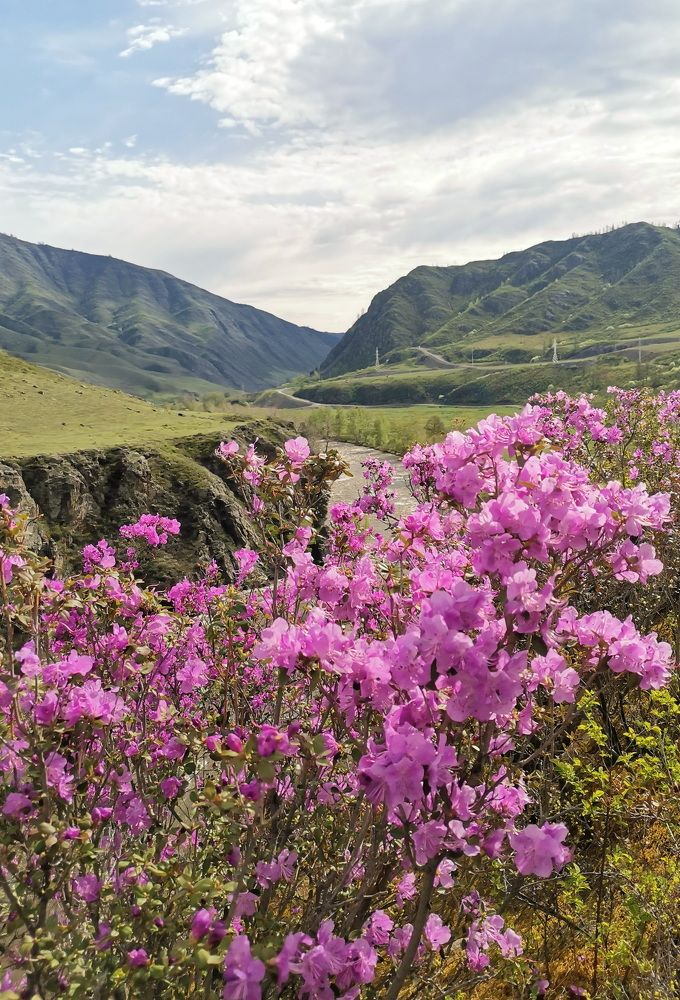 Photograph by Никита Караваев