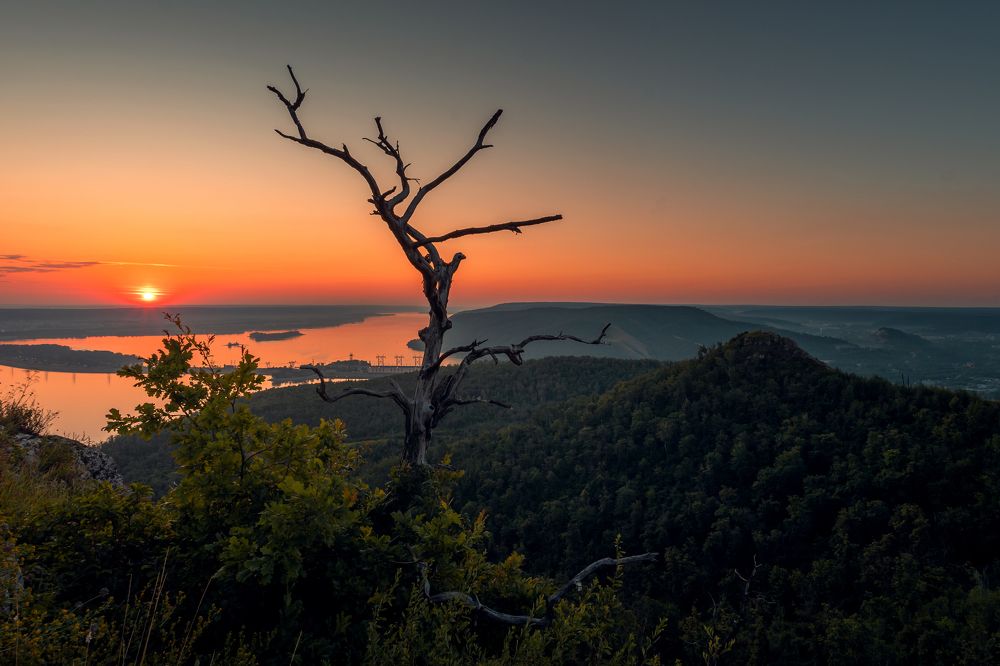 Photograph by Суворова Валентина