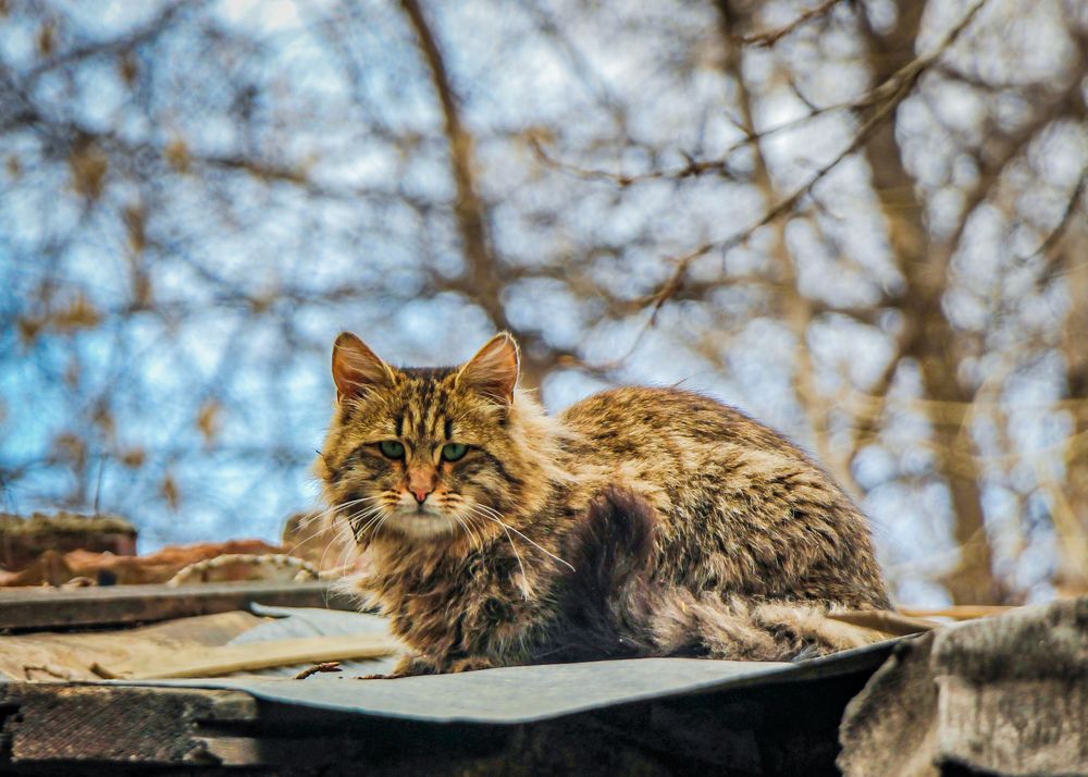Photograph by Владимир Сушкин