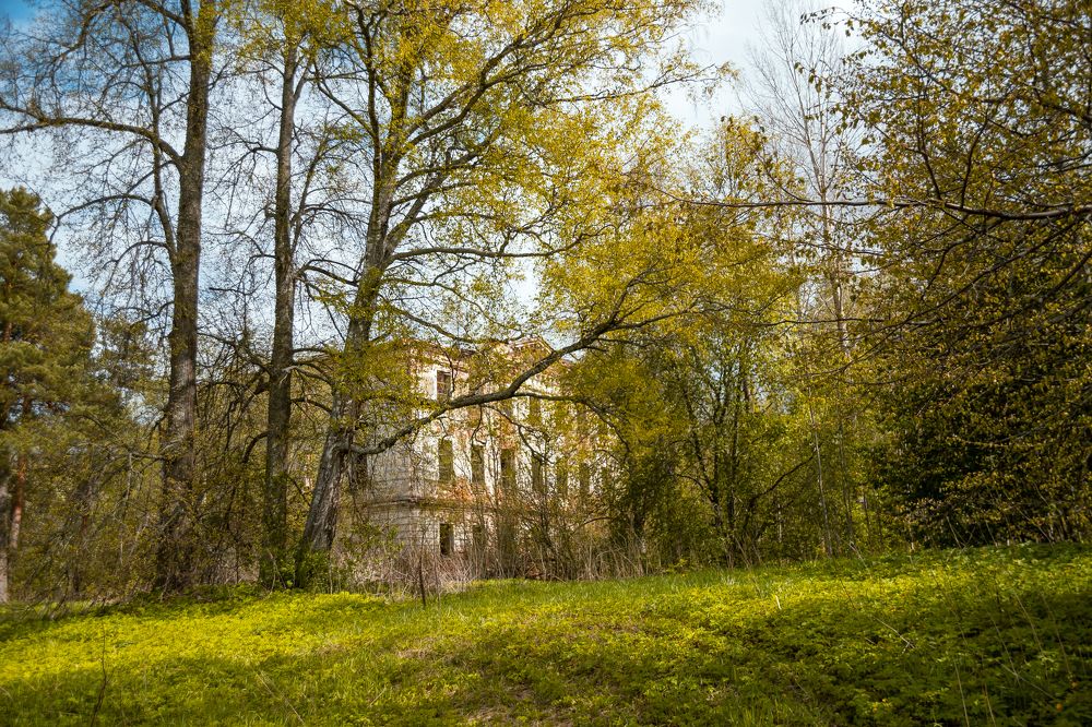 Photograph by Елена Ефимова