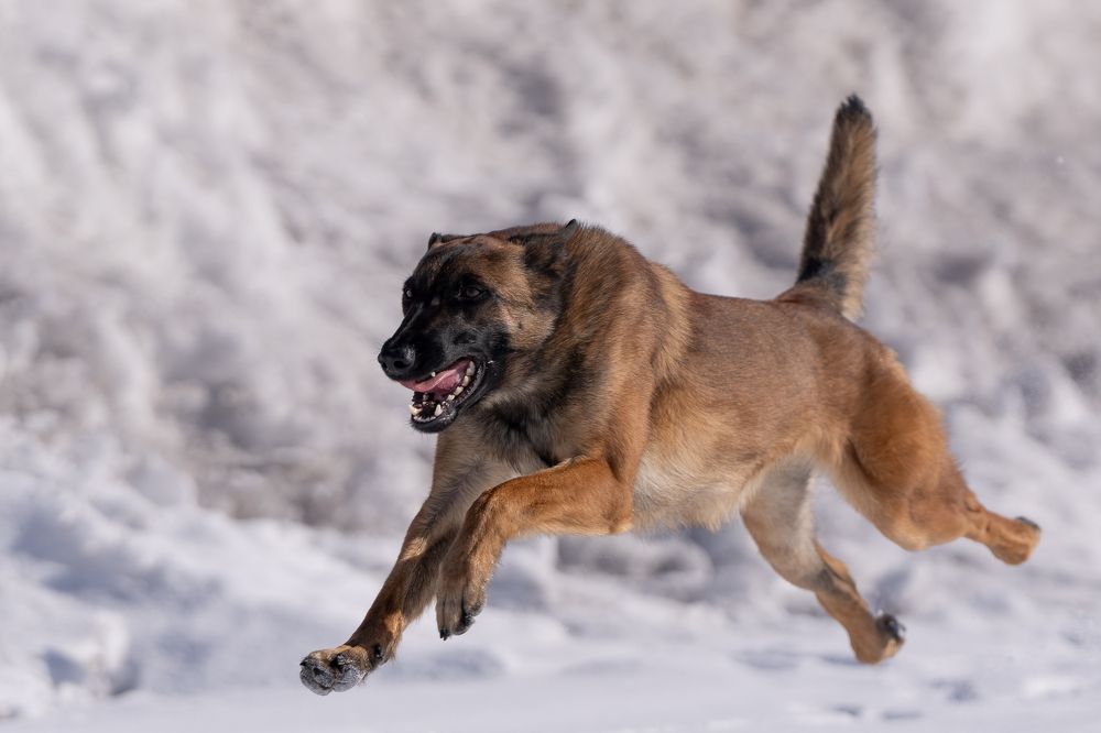 Photograph by Sergey Zhirkevich