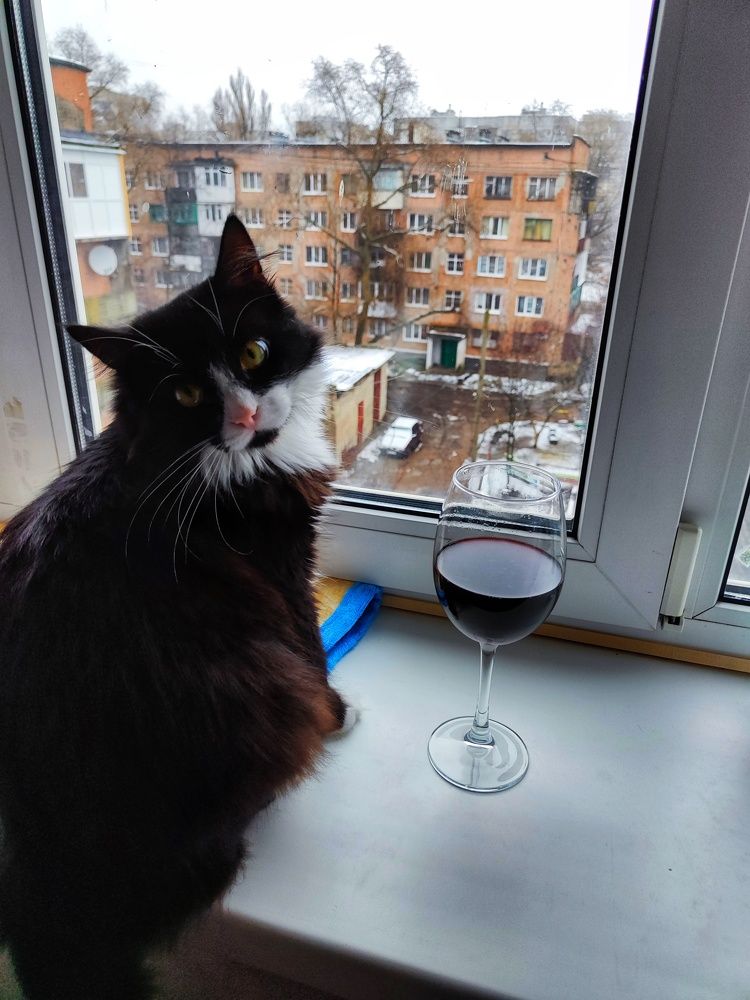 Photograph by Анна Напримерова