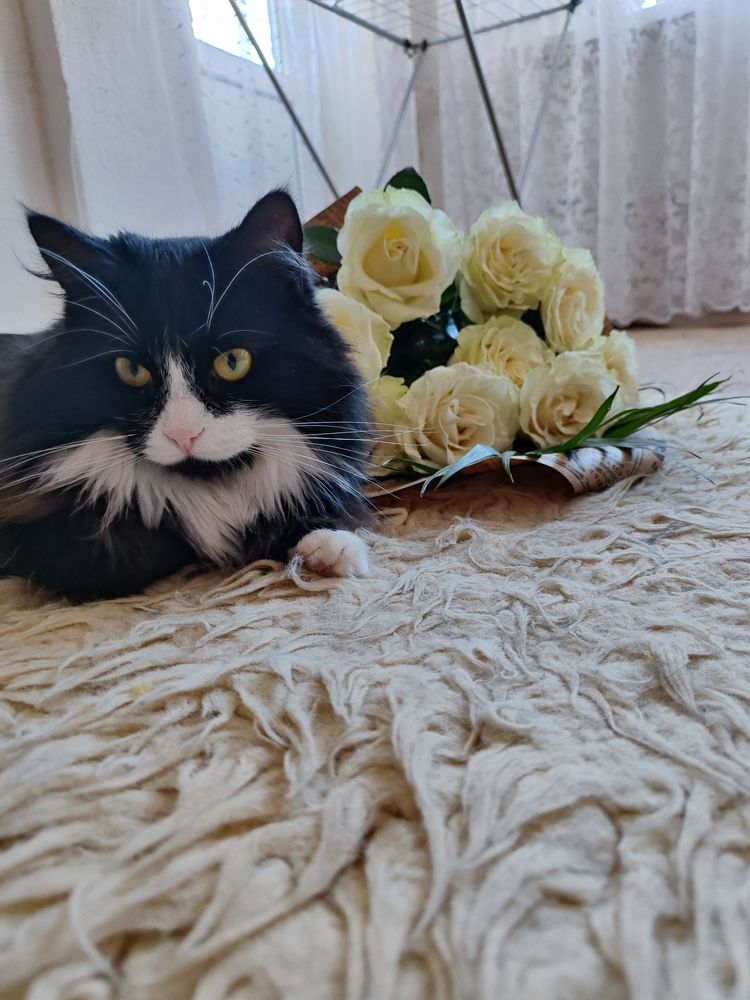 Photograph by Анна Напримерова