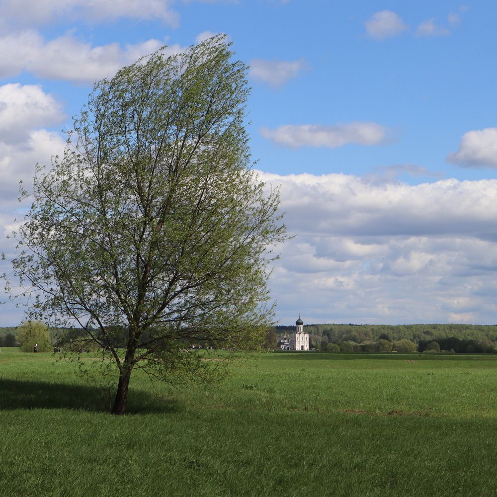 Photograph by Irina Alexandrova