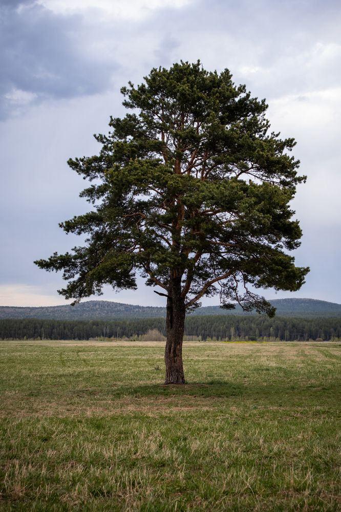 Photograph by Margachev Aleksandr