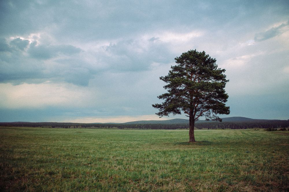 Photograph by Margachev Aleksandr