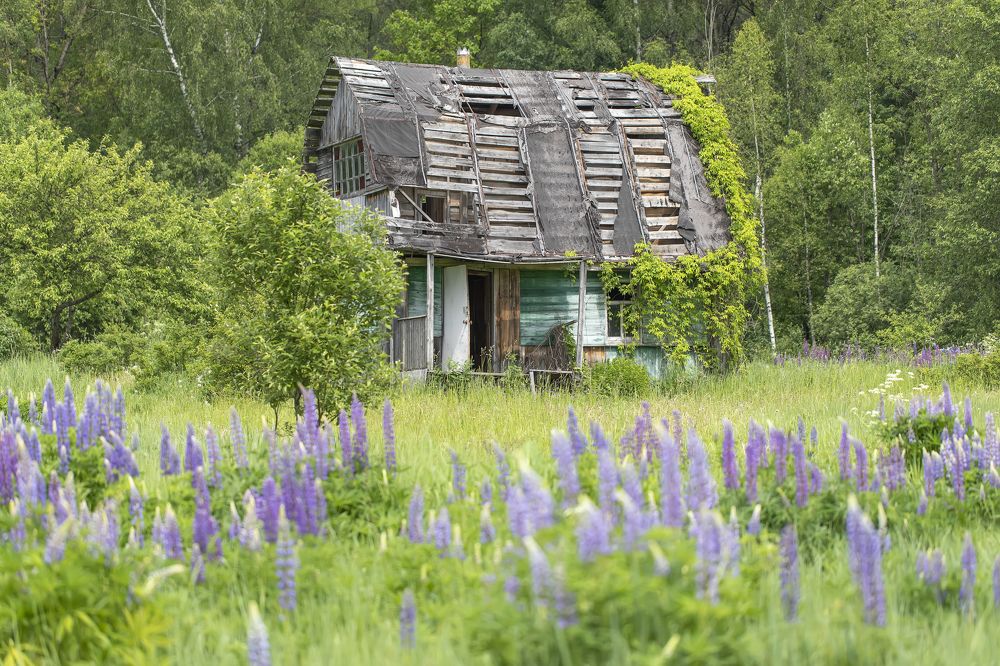 Photograph by Tatyana Fedenkova