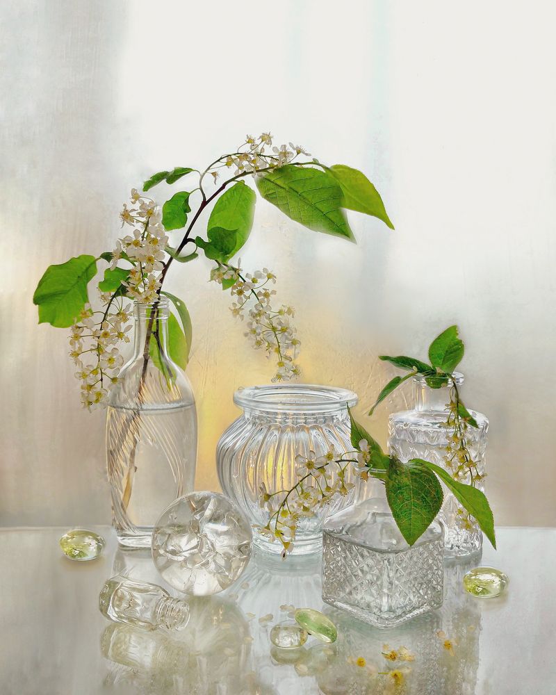 Ах, черёмуха белая!