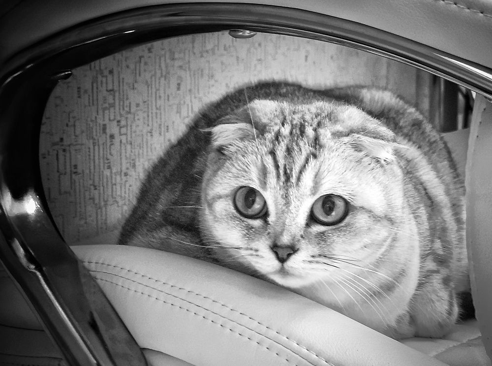 Photograph by Кривенко Владимир