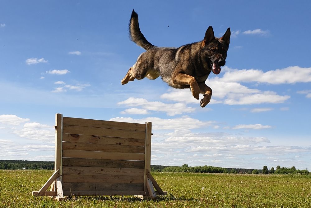 Photograph by Sergey Zhirkevich