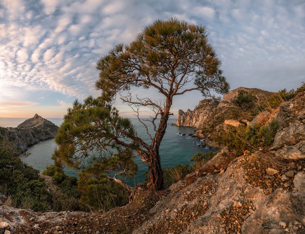 Рассвет над Голубой бухтой