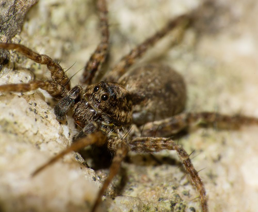 Photograph by Дмитрий Рассыльщиков