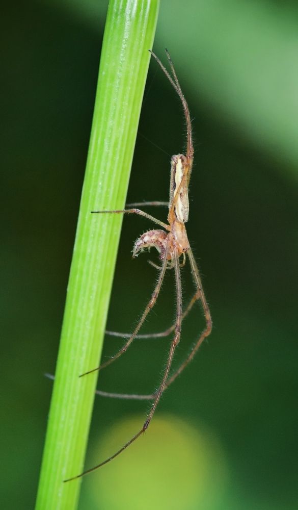 Photograph by Дмитрий Рассыльщиков