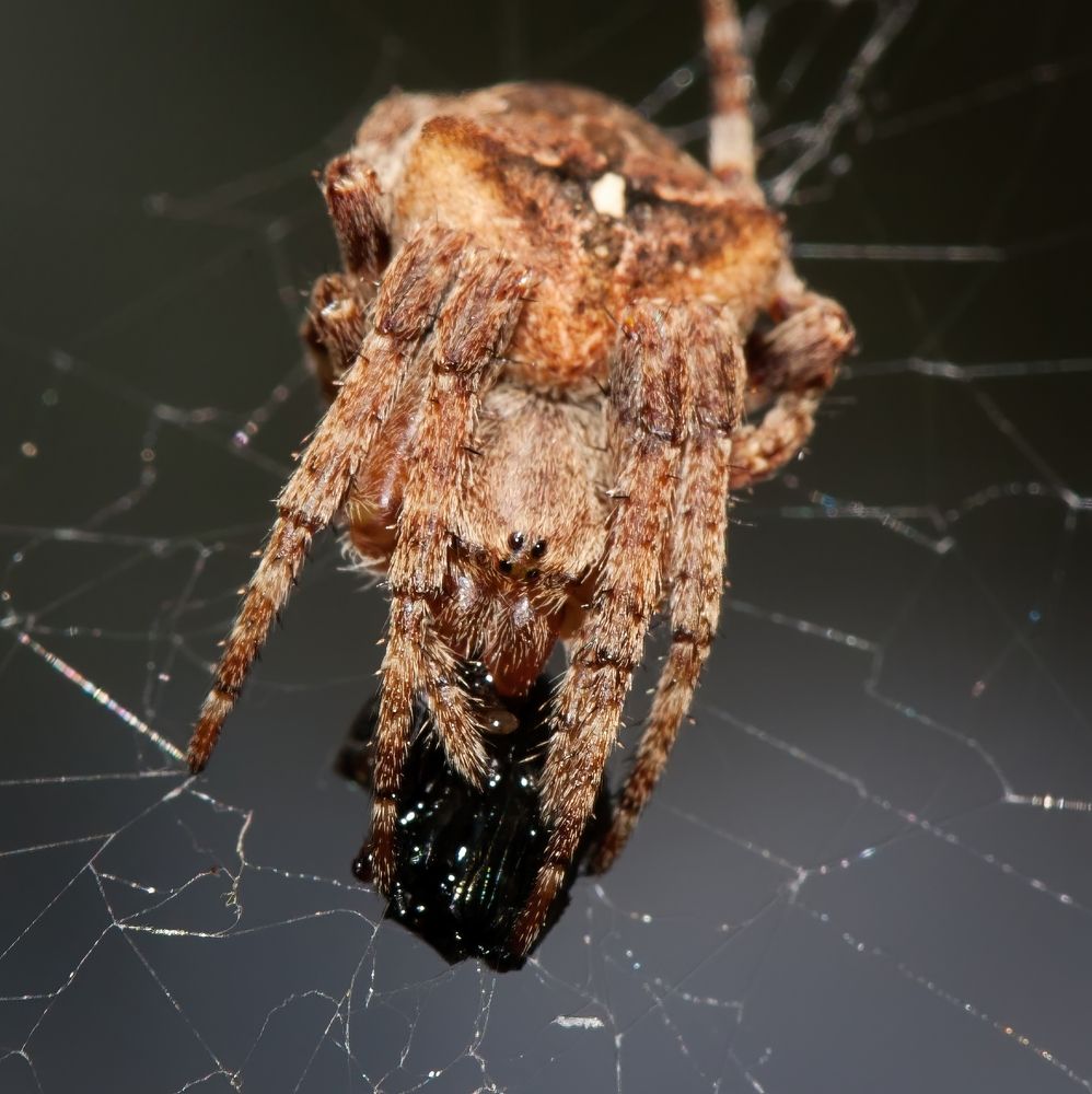 Photograph by Дмитрий Рассыльщиков