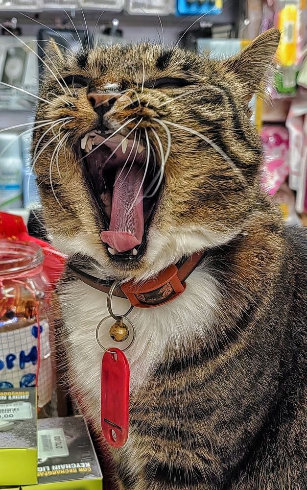 Фотография автора НАТАЛЬЯ СЕВЕР