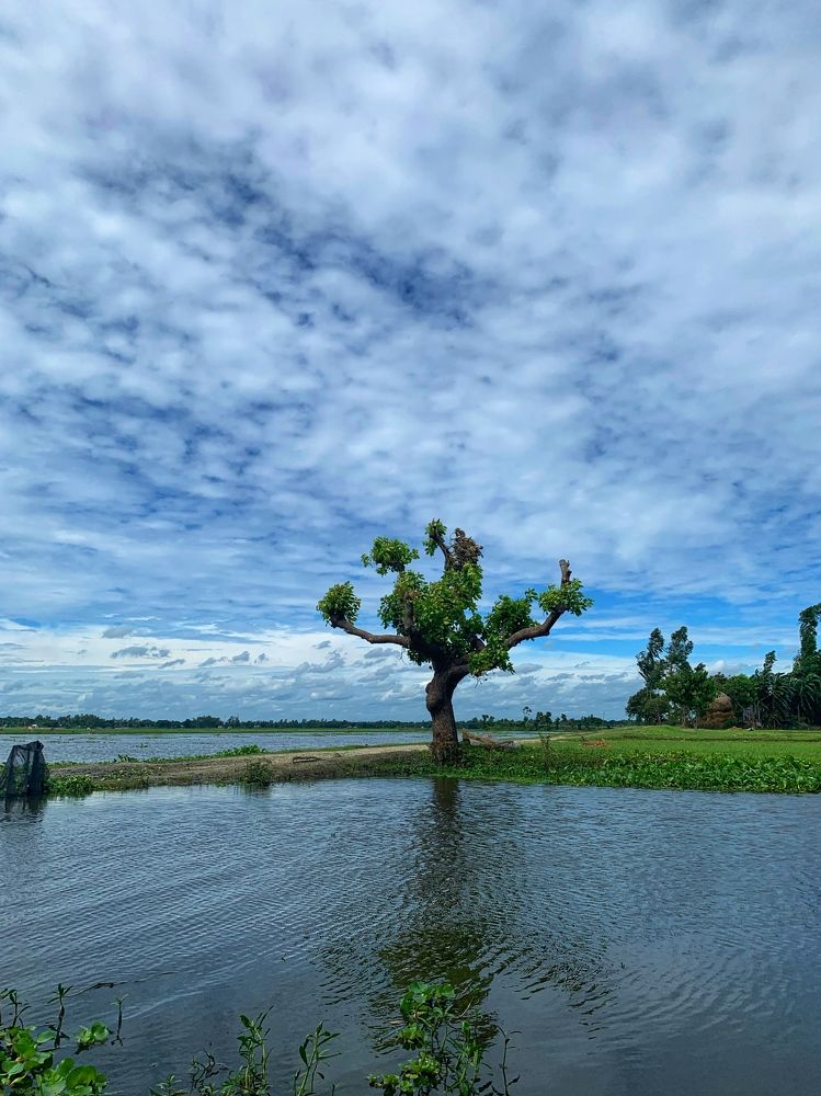 Фотография автора Washiful Majid