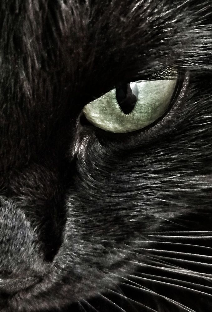 Фотография автора НАТАЛЬЯ СЕВЕР