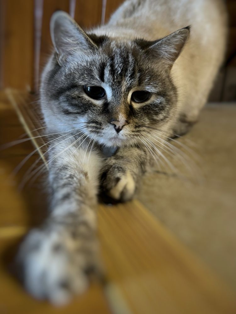 Photograph by Mariia Voloshina