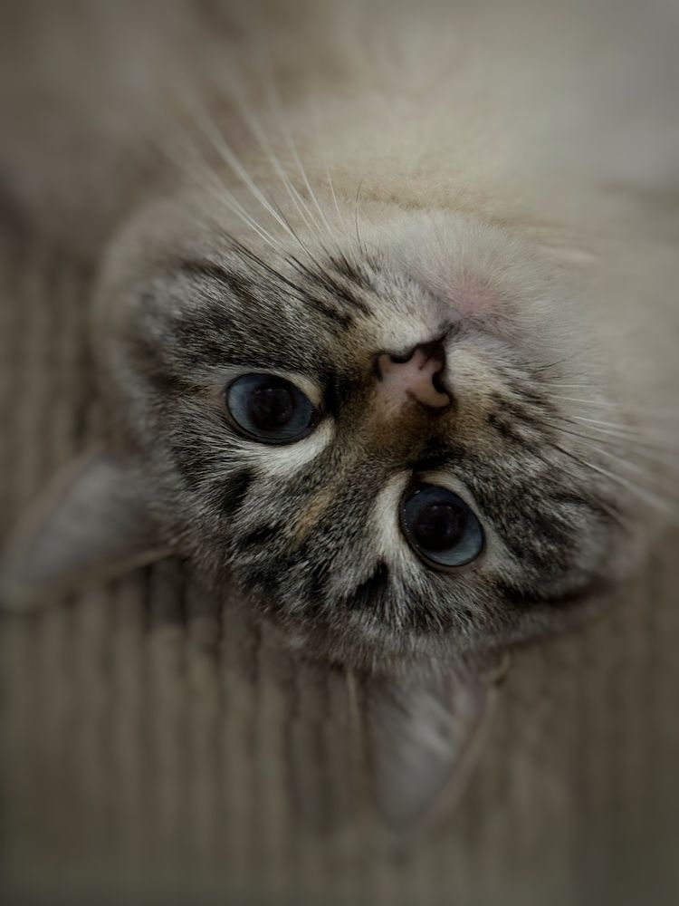 Photograph by Mariia Voloshina