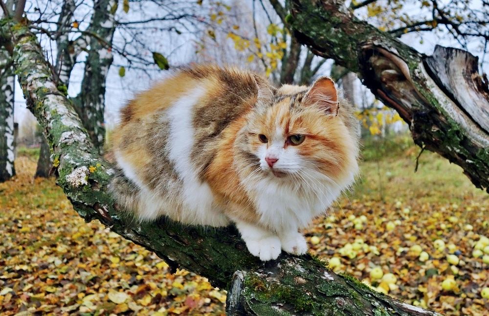 Photograph by Виктор Решетников