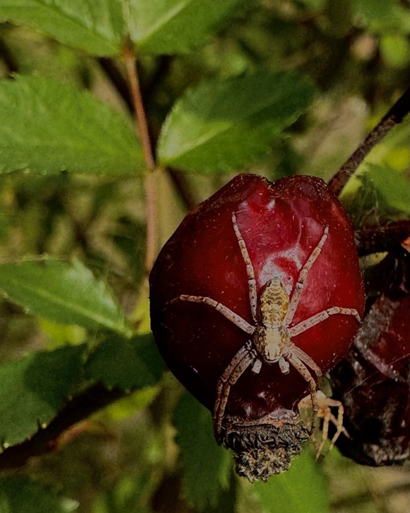 Photograph by Liudmila