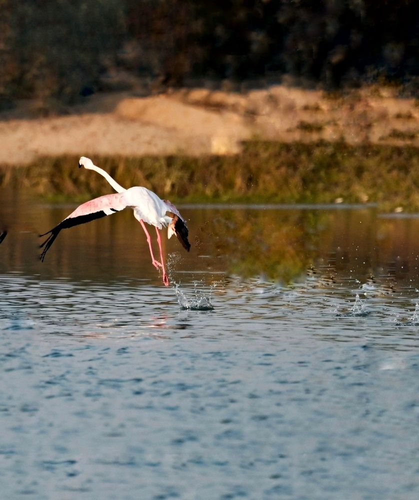 Photograph by Rajaa Shatnawi