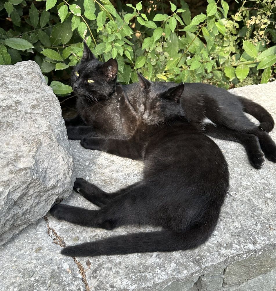 Photograph by Татьяна Казанкова