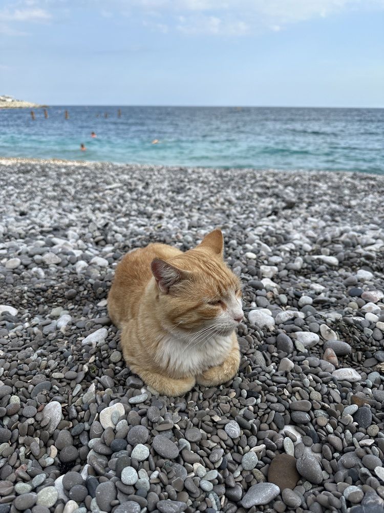 Photograph by Татьяна Казанкова