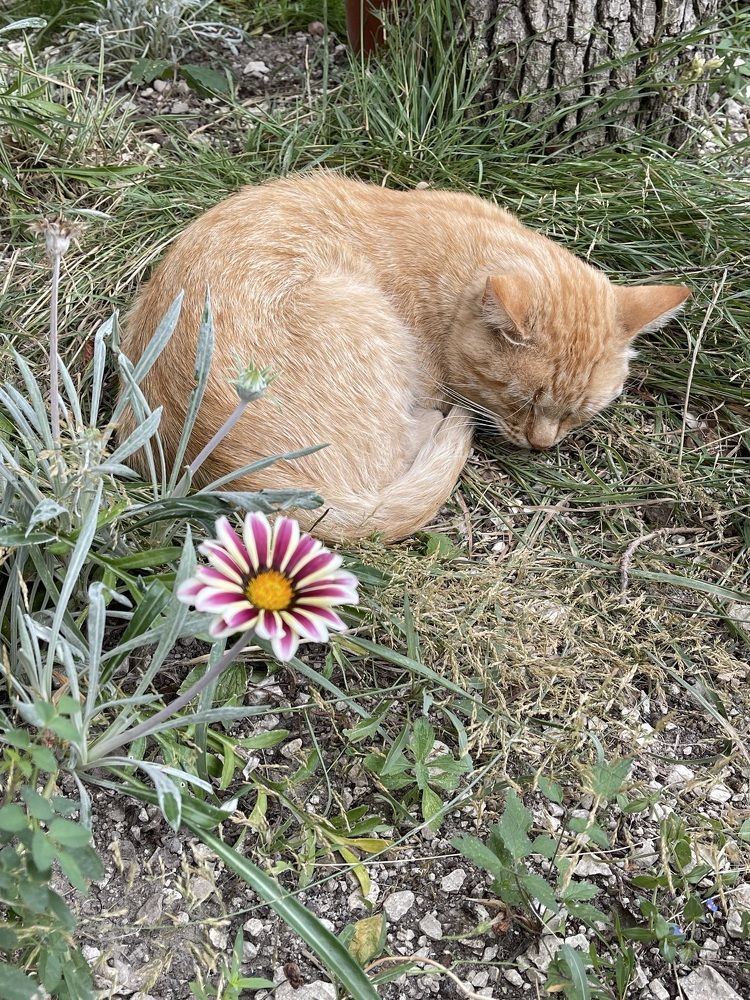 Photograph by Татьяна Казанкова