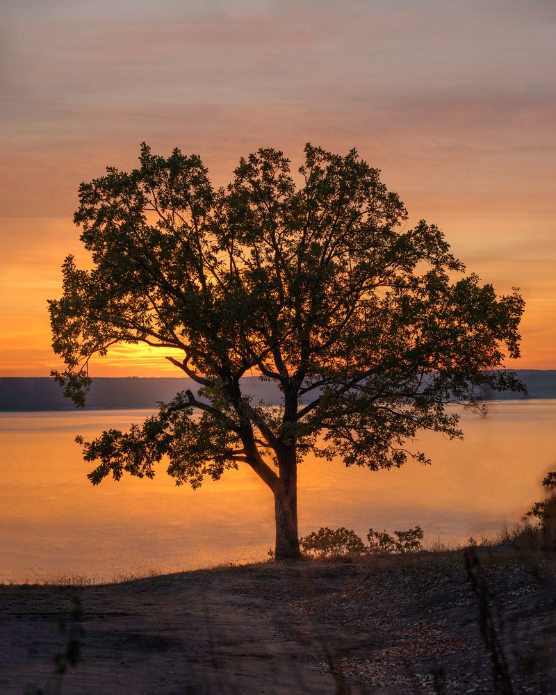 Photograph by Суворова Валентина