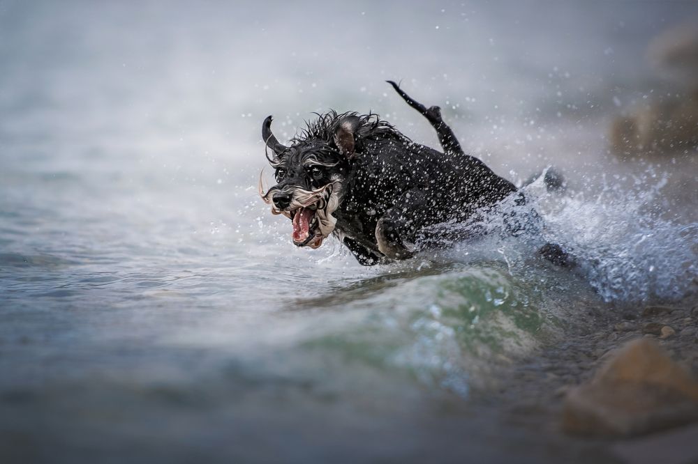 Photograph by Наталья Орел