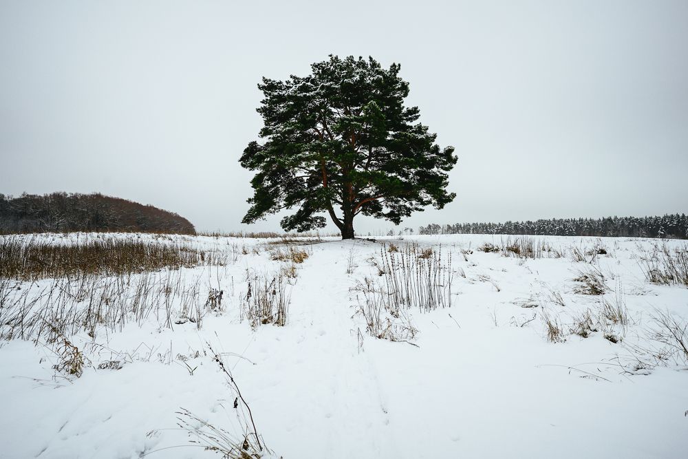 Photograph by Юрий Гаврилов