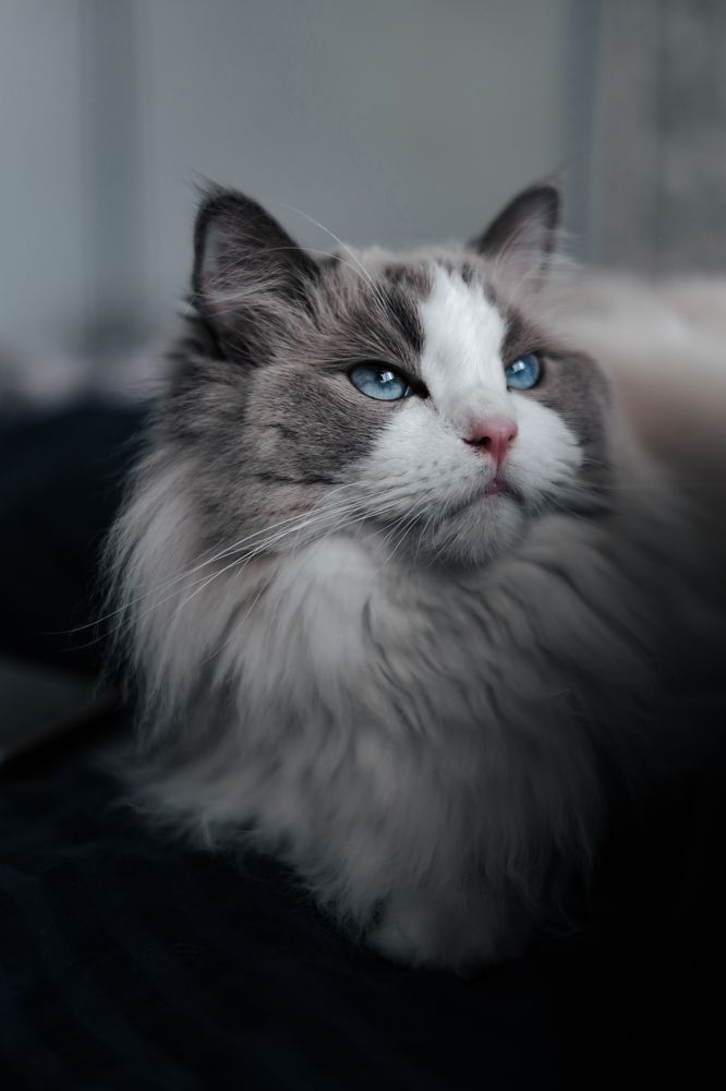 Фотография автора Татьяна Иванова