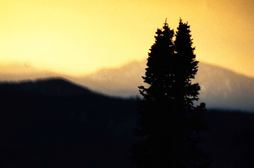 Фотография автора Dimitri