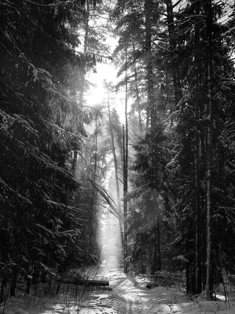 Photograph by Евгений Фисун