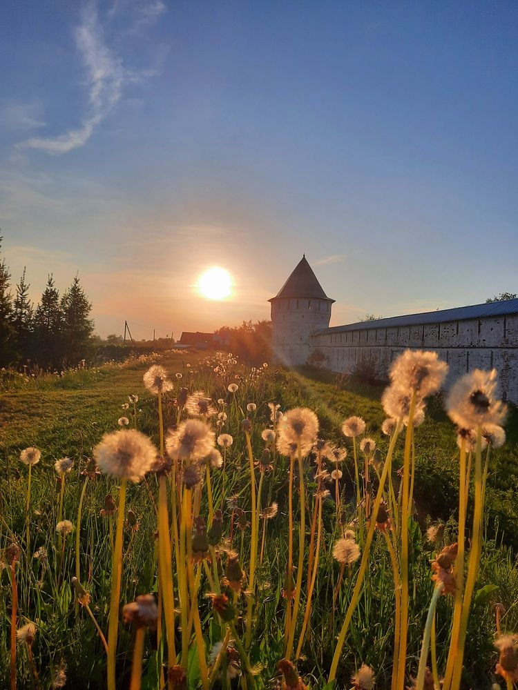 Photograph by Irina Alexandrova