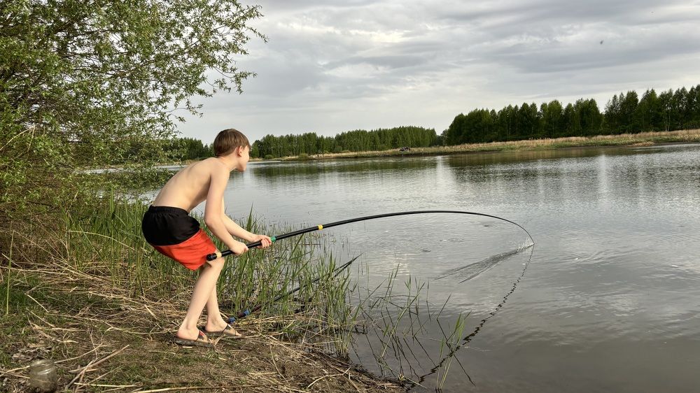 Photograph by Елена Гущина