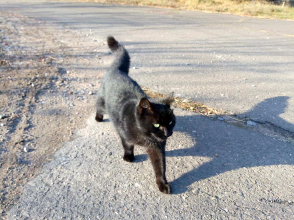 Photograph by Татьяна Пальчикова