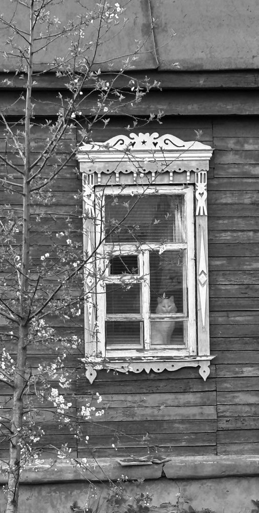 Photograph by Елена Гущина