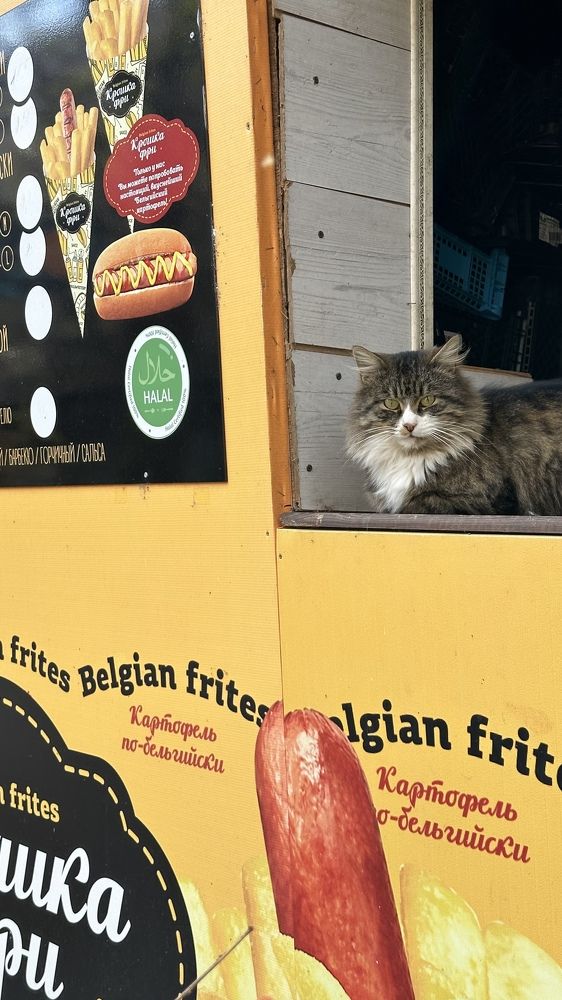 Photograph by Мария Алейникова