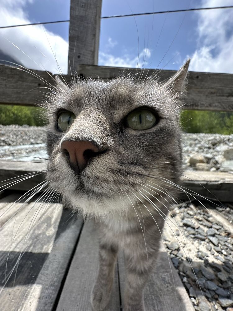 Photograph by Мария Алейникова