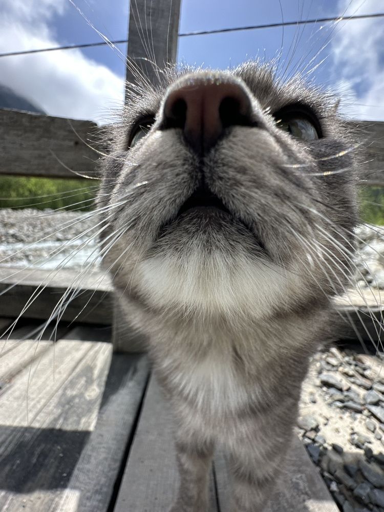 Photograph by Мария Алейникова